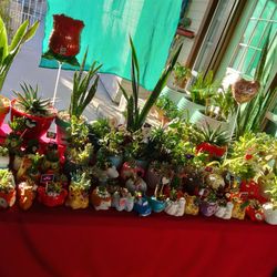 Regalo San Valentín