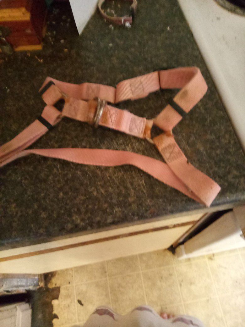 Dogs Harness For Big Dogs
