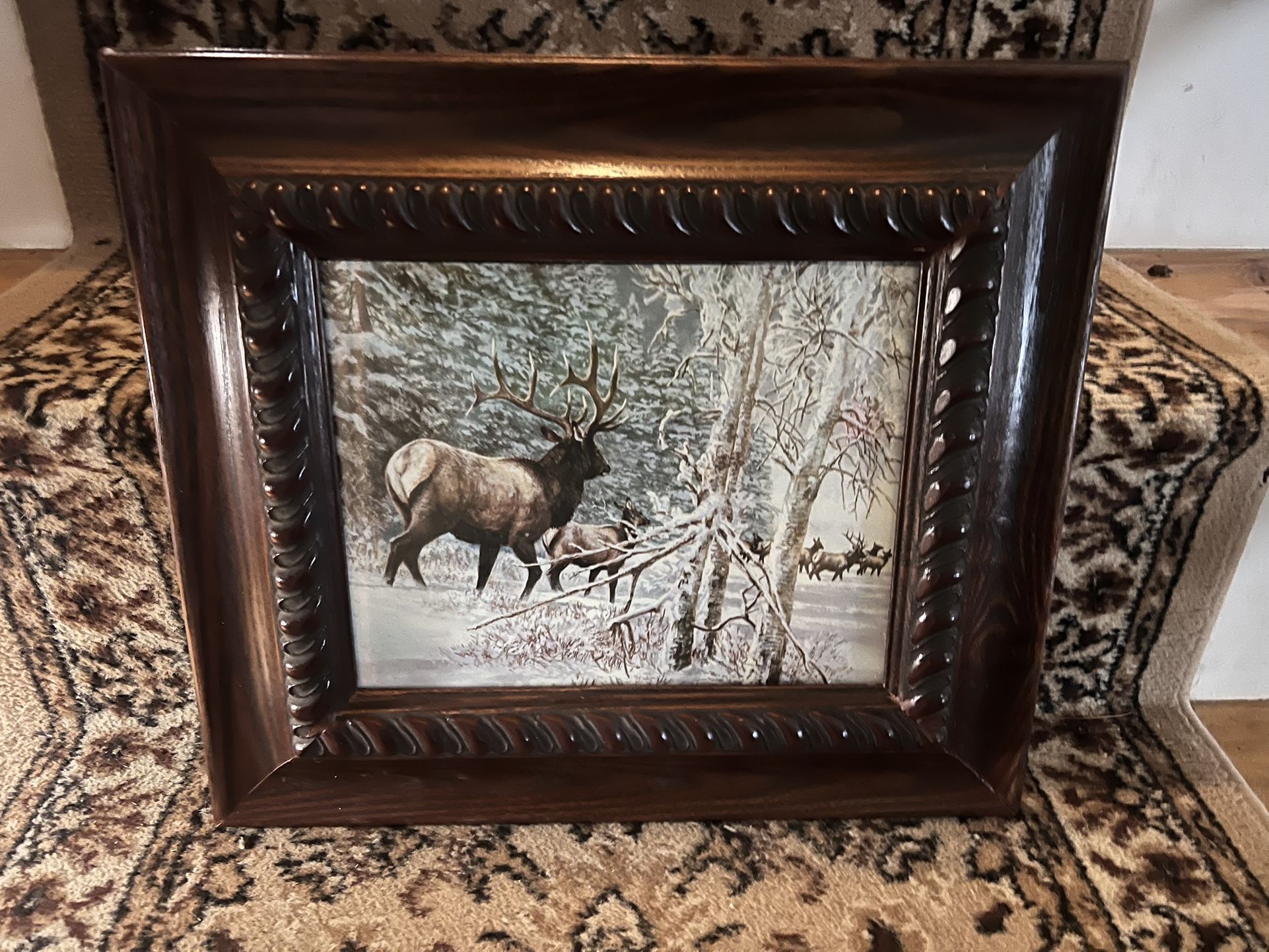 Elk Wildlife Art Print In Hardwood Frame