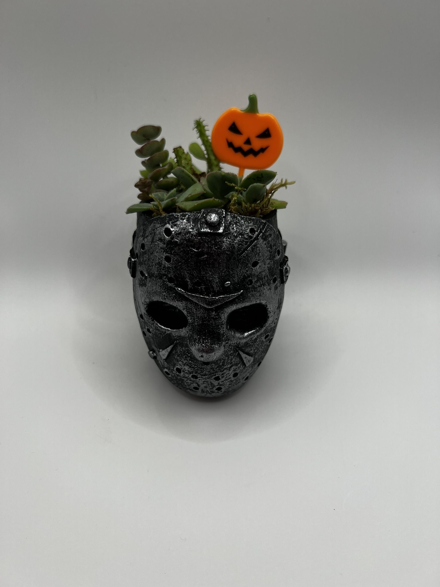 Succulent Arrangement 