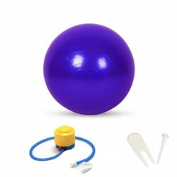 Purple Balance Ball With Pump
