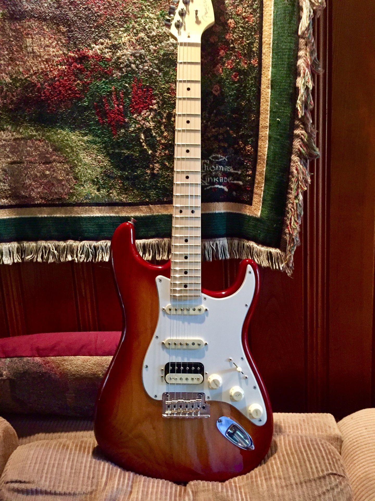 American Professional Stratocaster