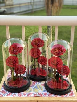 Preserved rose