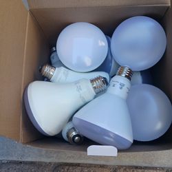 Free Light Bulbs