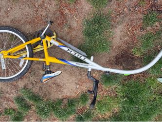 Tagalong bike