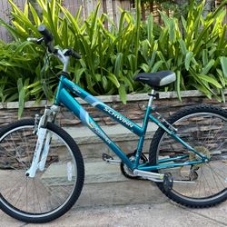  Schwinn Sidewinder 2.6 FS bike