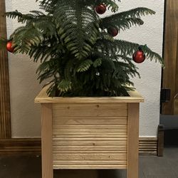 Cedar Planter box