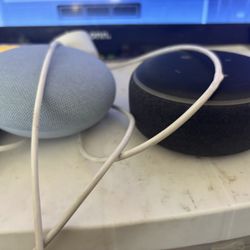 Alexa And Google Home 