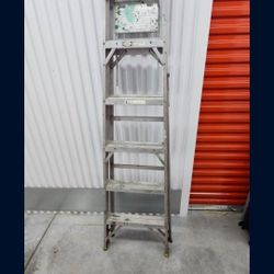 Aluminum Ladder 