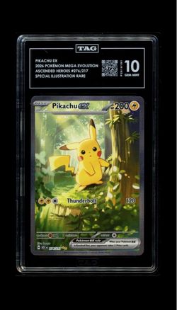 Pikachu #276 TAG 10