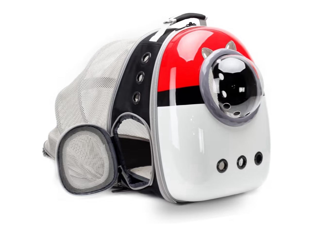 Cat Carrier / Bookbag