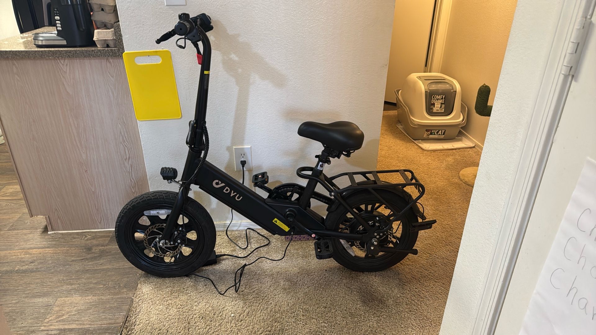 DYU electric bike