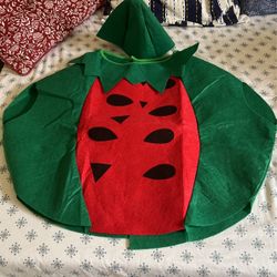 Kids Watermelon Costume 