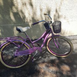 24 In Bicycle Light Purple 
