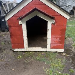 BIG DOG HOUSE 