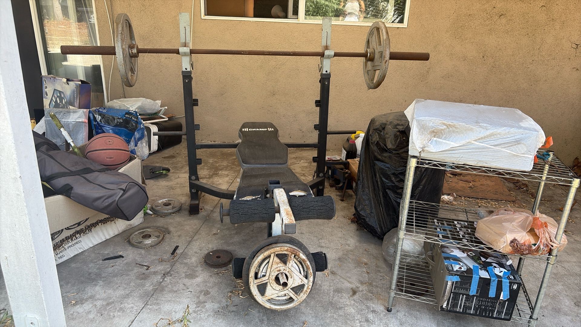 Free Bench and Weight