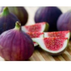 Brown Turkey Fig Fully Grown Plant In 2 Gallon Pot