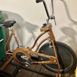 Schwinn Exerciser Bike - Retro Mid Century Modern 
