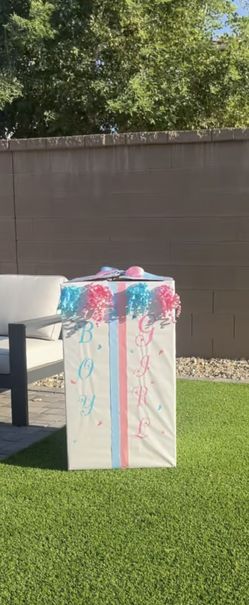 Gender Reveal Box