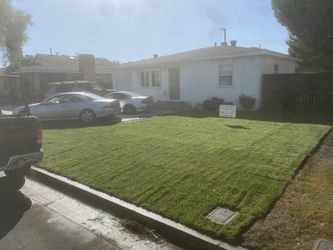 Fresh Cut Sod!!