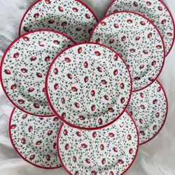Sur La Table Wild Strawberry Melamine 9” Plates, Set of 8, Never Used, Perfect Condition  - Original Retail $96