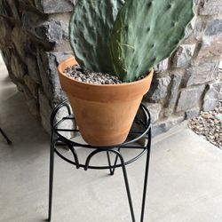 Black Metal Plant Stand 