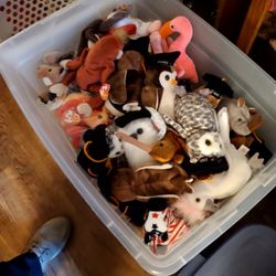 Beanie Babies  $2 Each  