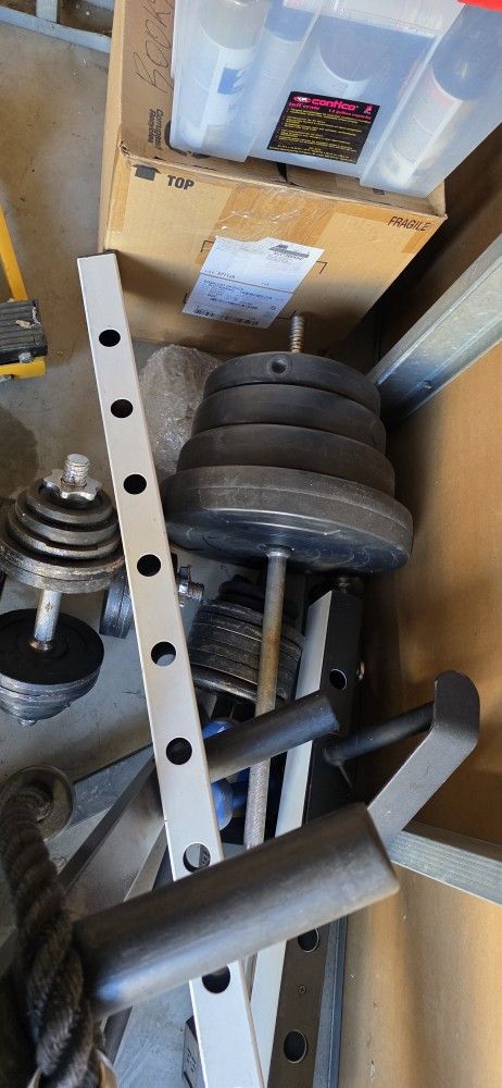 Free Weights Non Olympic