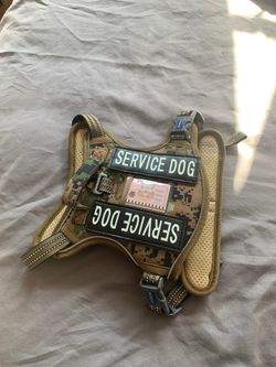 Dog harness and collar