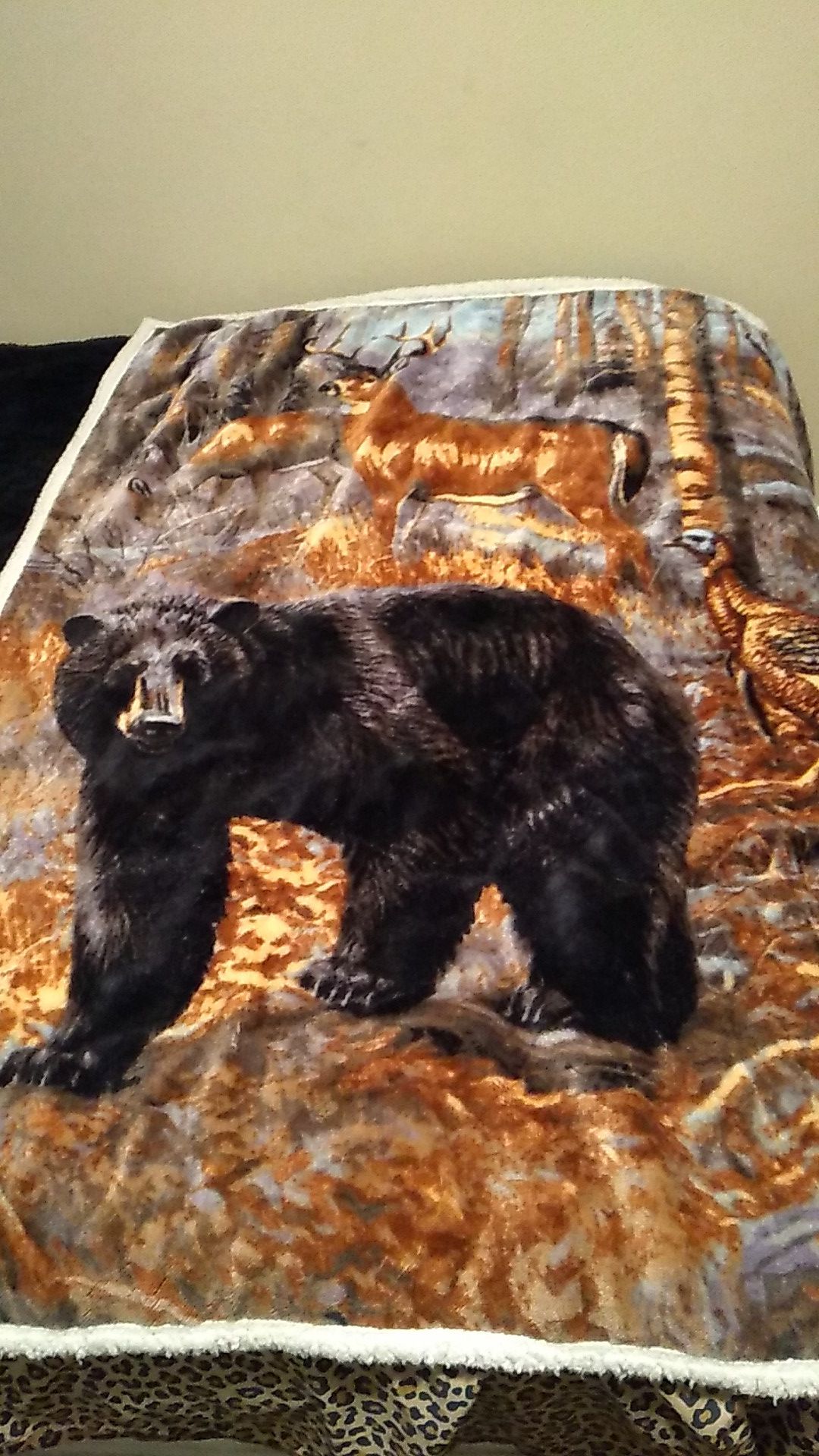 Twin size blanket