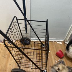 Shopping Cart