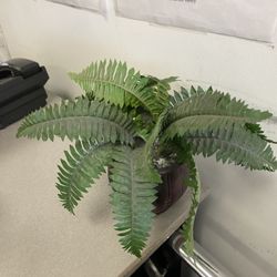 Faux office plants