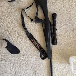 Based on the photos, you have a Benjamin Trail NP (Nitro Piston) All-Weather air rifle