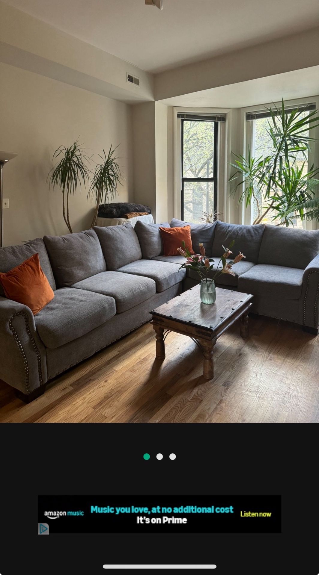 Large Sectional Couch (free)