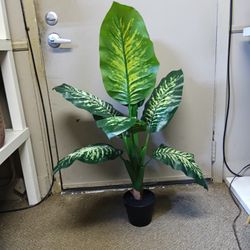 Artificial Plant