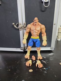Sota toys street fighter sagat
