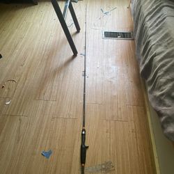 Free Ozark Trail casting Rod Trades
