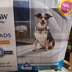 XL Dog Pads.