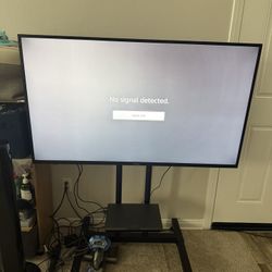 Pioneer 55" 4K Smart Fire TV with Movable Floor Stand & Protection Plan