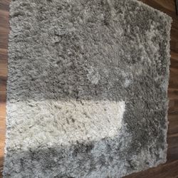 Silver Area Rug. Just Cleaned/washed. $75 Obo