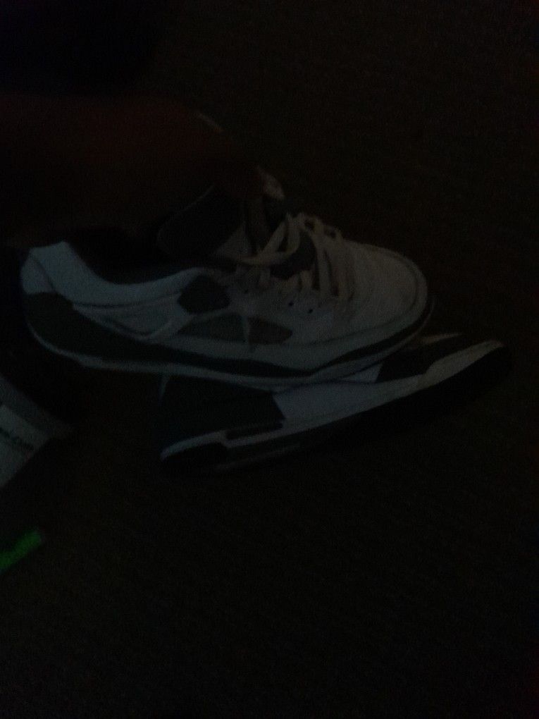 Jordan 3s Size 11