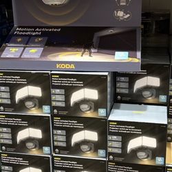 Motion sensor flood flight - $40