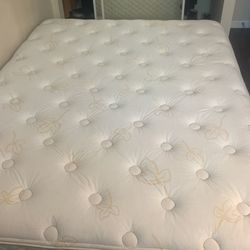 Queen Mattress And Box Spring