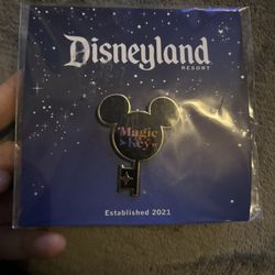 Disney Collector Pins