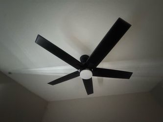 Black 5-Blade Ceiling Fan with Light