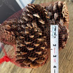 Pine Needle Scented Pinecones 