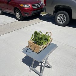 Handmade Garden Basket, Unpainted