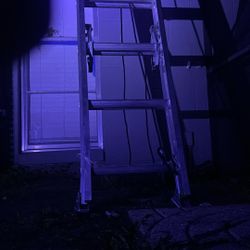 Ladder 24ft