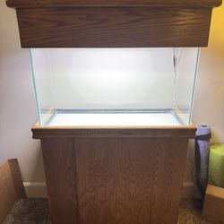 29 Gallon Fish Tank With Stand & Accessories