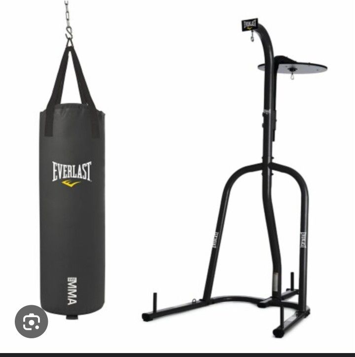Everlast Punching Bag And Stand